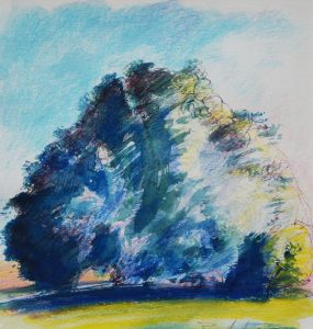 Leccio secolare - Piero Anichini